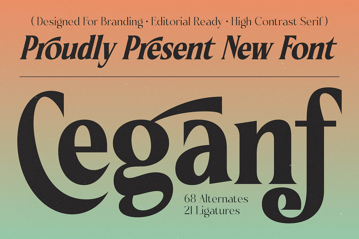 Ceganf Modern High Contrast Serif, a Serif Font by timelesstype.co (Photo 1 of 20)