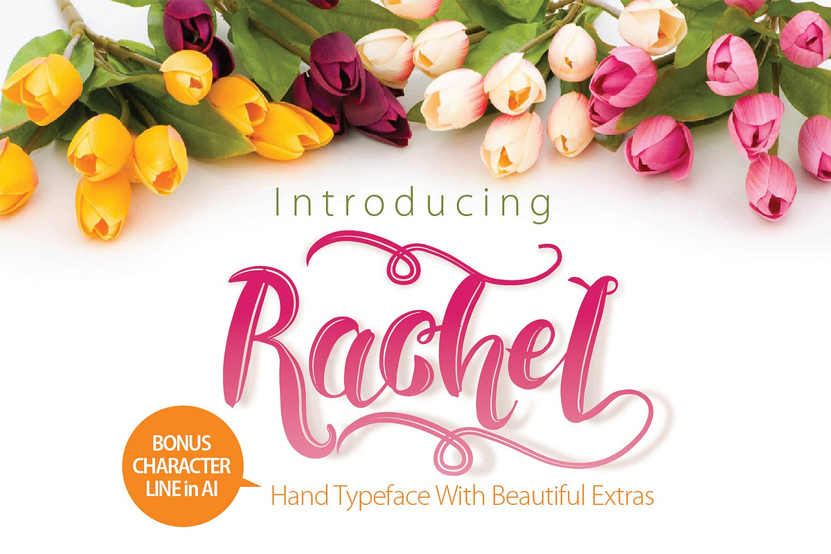 Rachel with Extras + Bonus