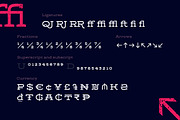 Gora – full pack, a Slab Serif Font by Russian Fonts (Thumbnail 7 of 10)