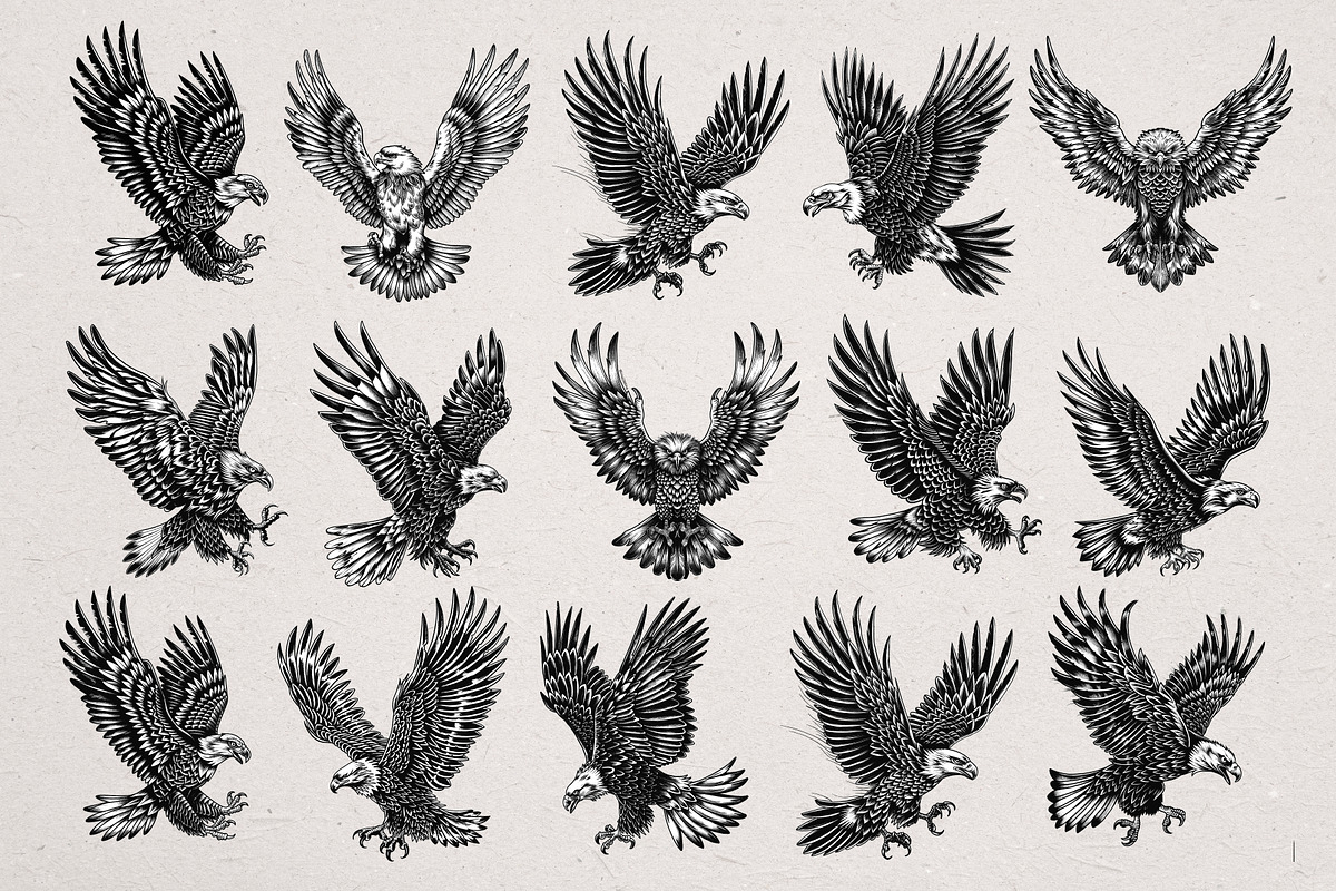 36 Eagle Vector Illustrations, an Animal Illustration by Alternate Studio (Photo 5 of 7)